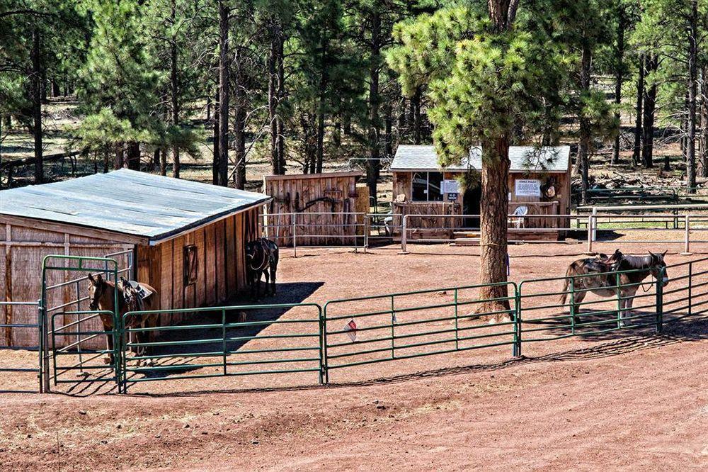 Mountain Ranch Resort At Beacon Hill Williams Buitenkant foto