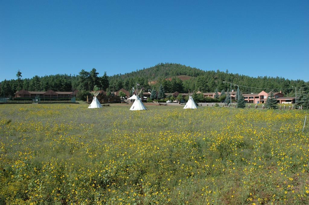 Mountain Ranch Resort At Beacon Hill Williams Buitenkant foto